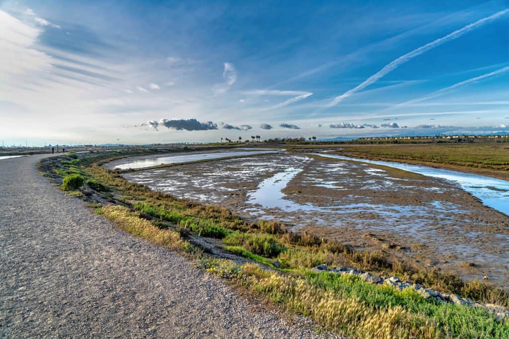 Bolsa Chica nature reserve