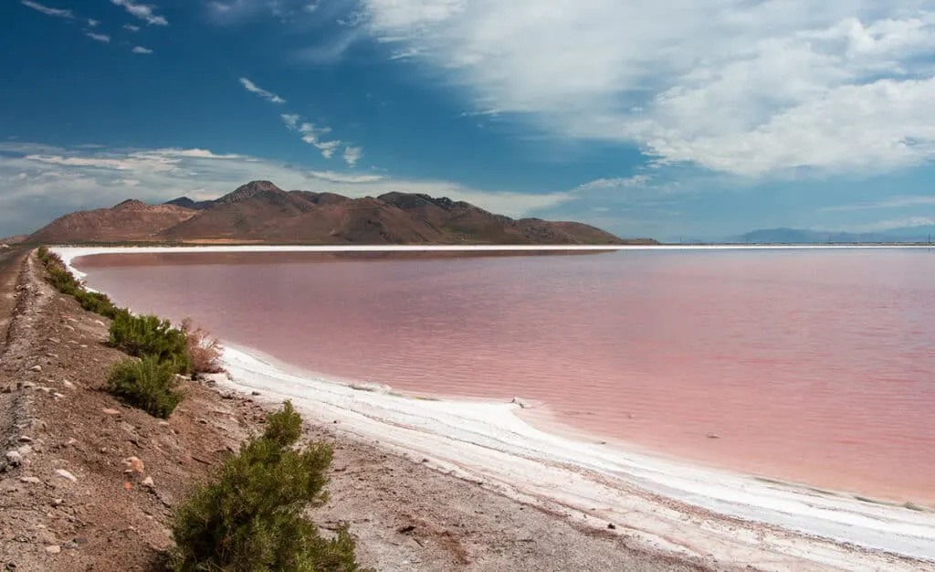 Pink shore of the Great Salt Lake