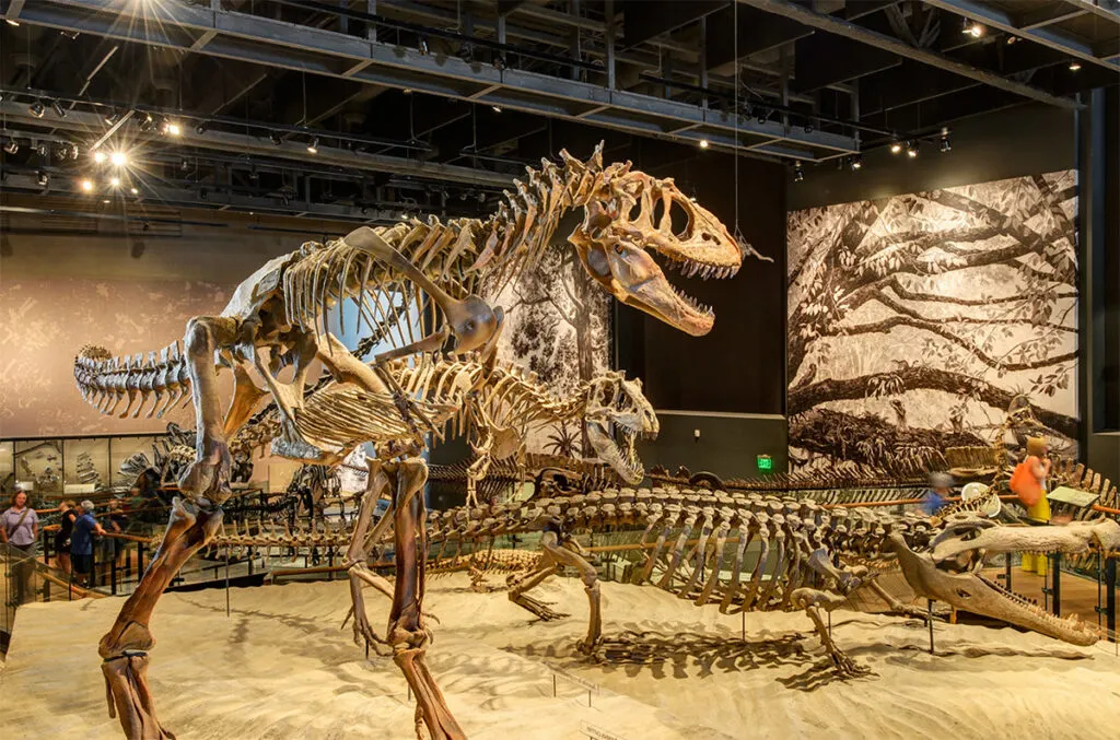 dinosaurs at the Natural History Museum of Utah