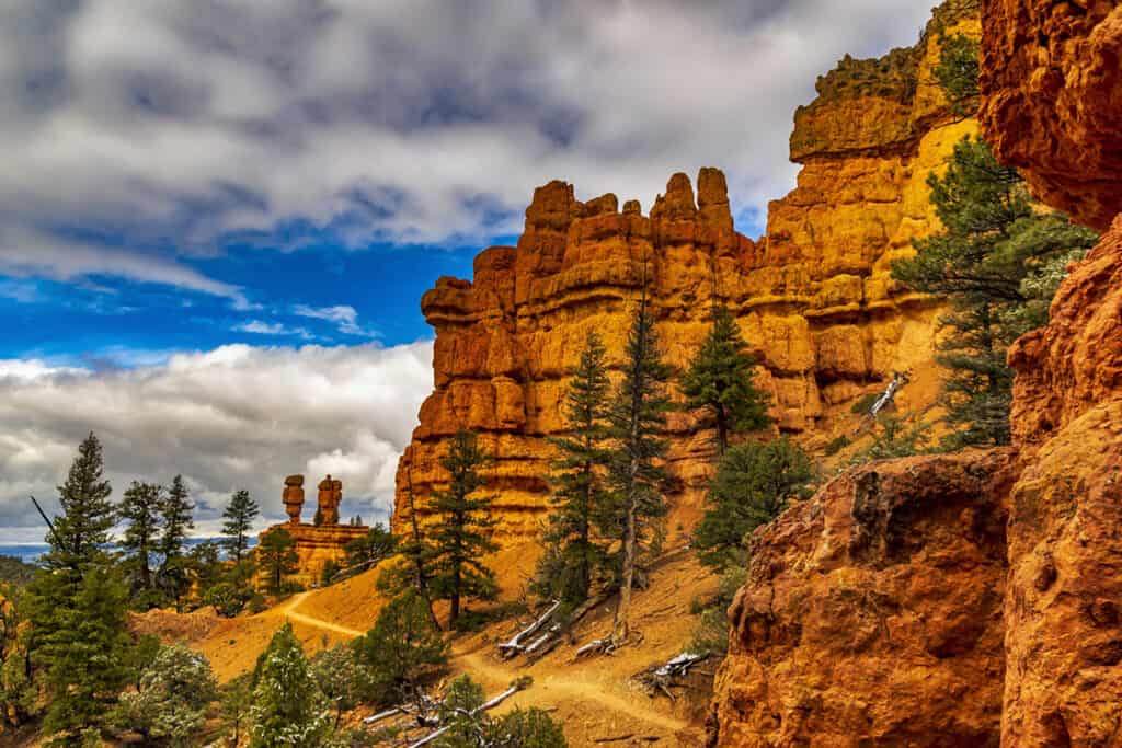 Fantastic view of the Red Canyon in Dixie National Forest, Utah