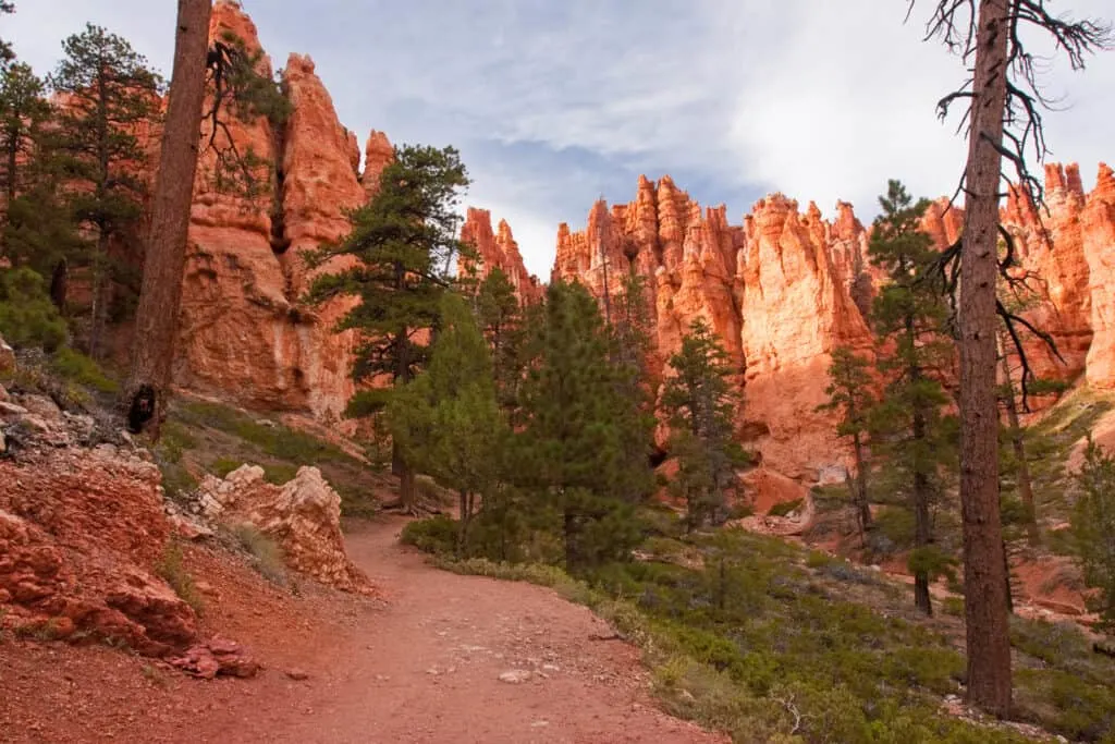 Bryce Canyon trail