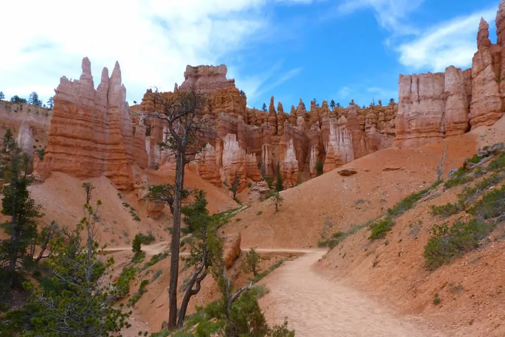 One of the many Bryce Canyon walking trails