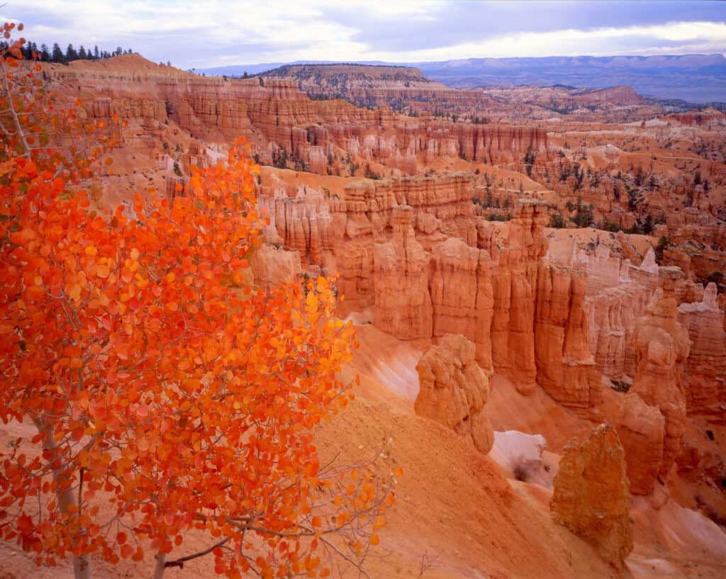 Sunset over Bryce Canyon in fall