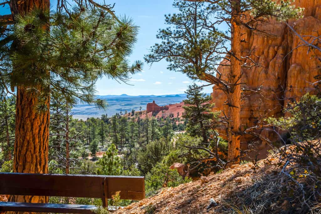 Dixie National Forest view