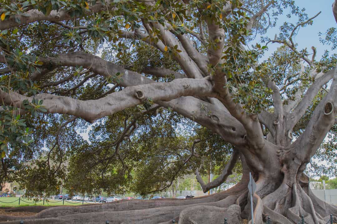 22 Fun and Unusual things to do in Santa Barbara [2026] - Blogger at Large
