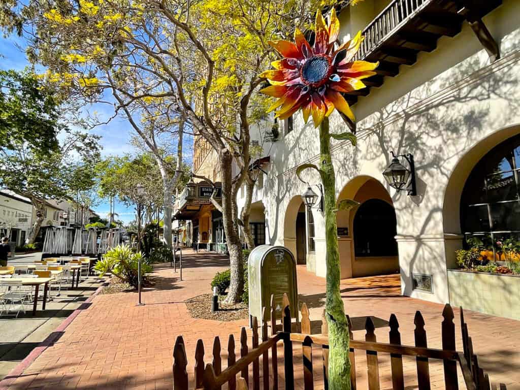 Sunflower on State Street