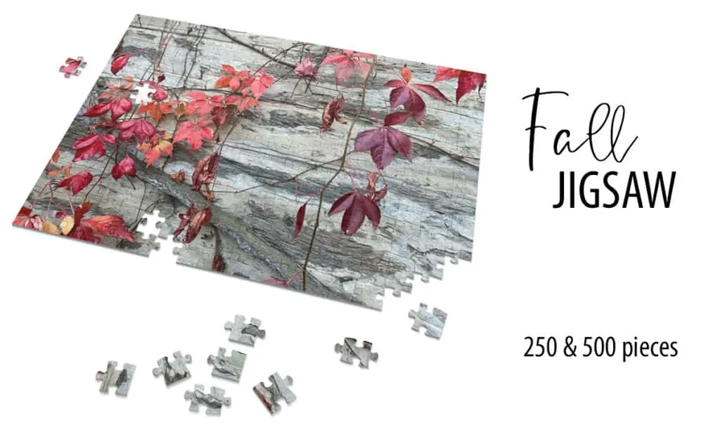 Fall leaves puzzle