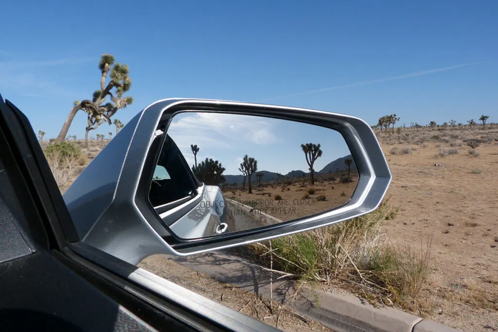 Joshua Tree in wing mirror