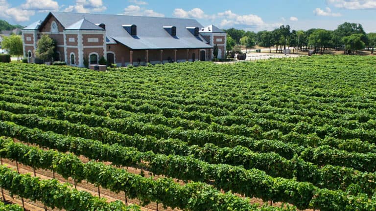 Surprising reasons to vacation in Grapevine Texas