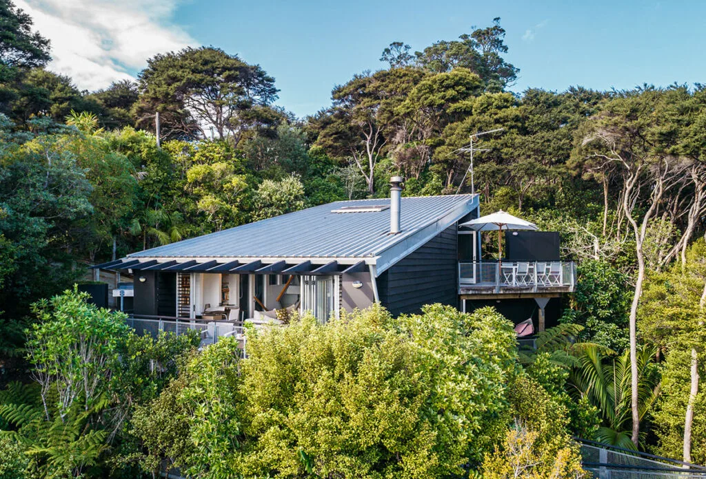 Te Kereru nestled in bush