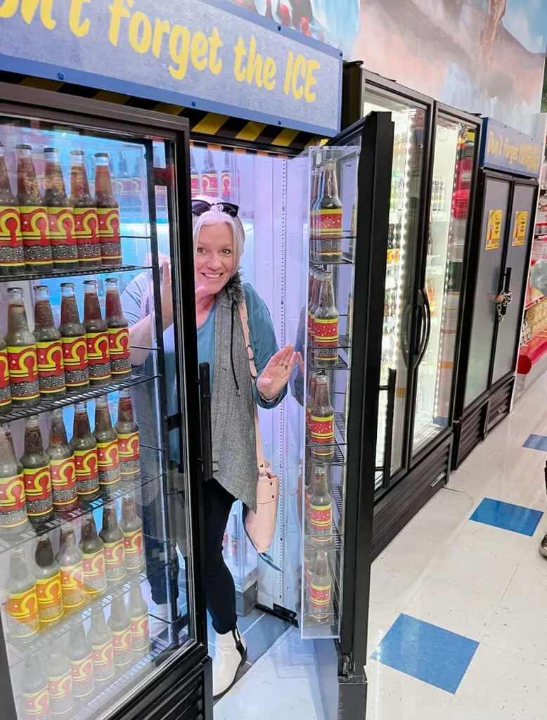 Stepping through the fridge into another world