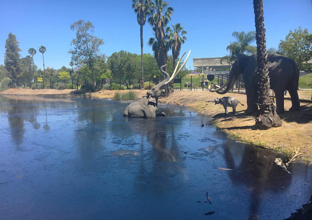 La Brea tar pits with animal sculptures depicting what they've found here