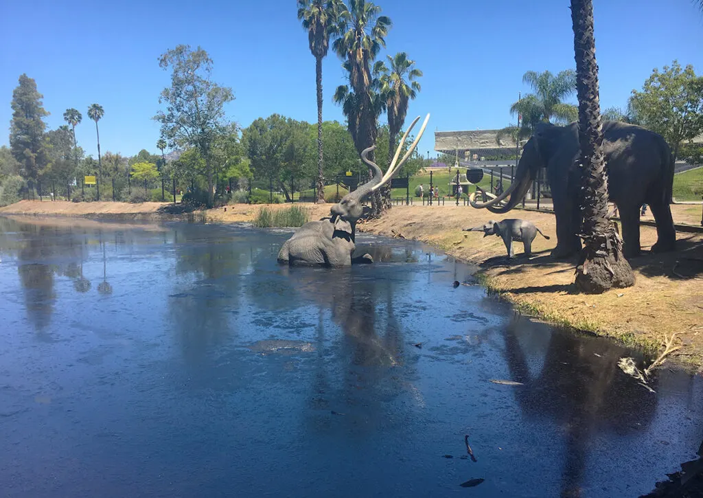 La Brea tar pits with animal sculptures depicting what they've found here