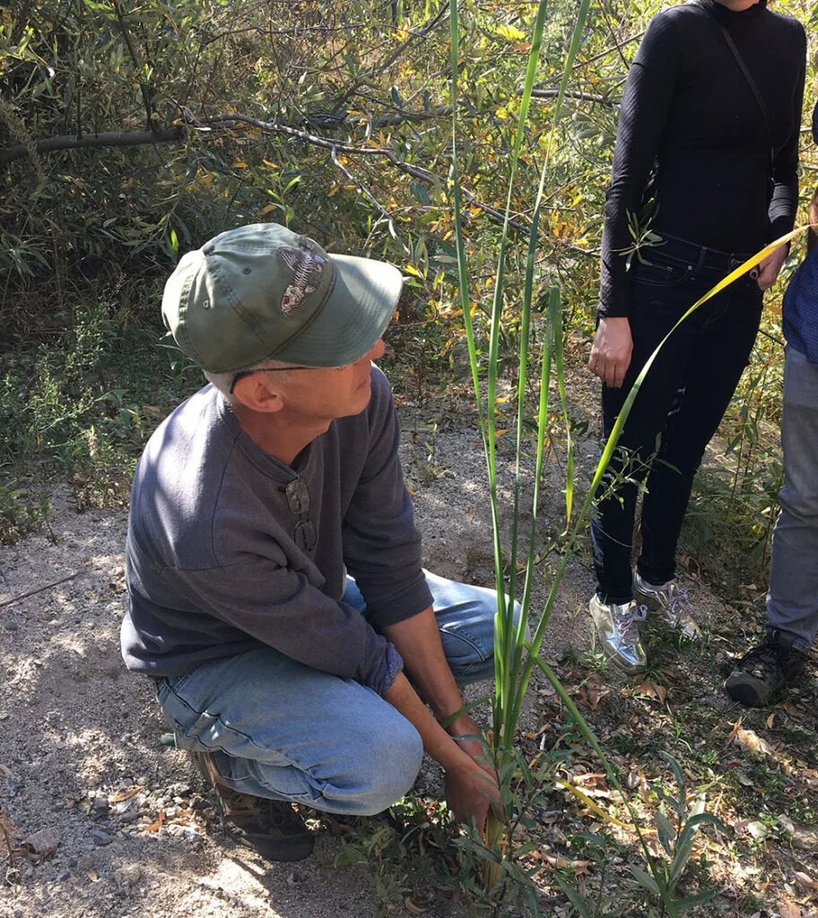 Pascal Baudar teaching about edible plants