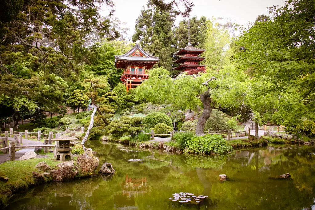 Japanese Tea Garden at Golden Gate Park