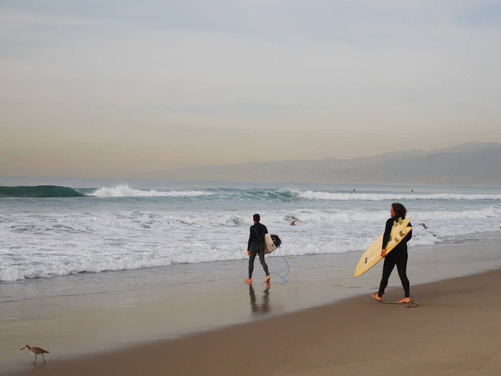 Surfers at Venice Beach