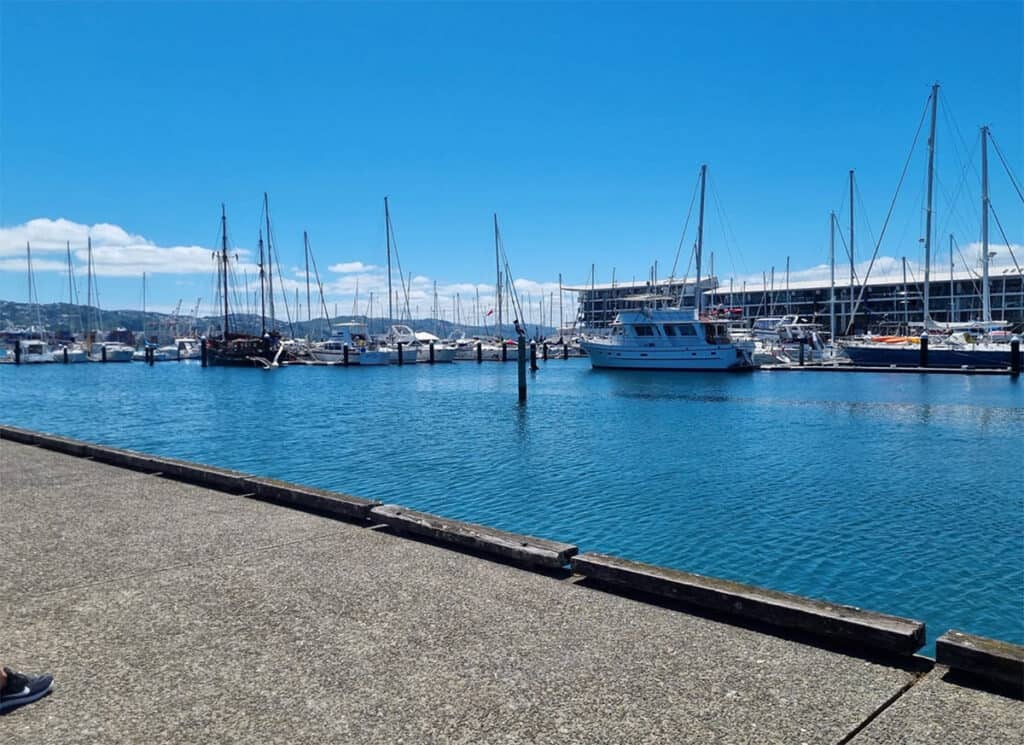 Gorgeous view from the Wellington Harbourside Market