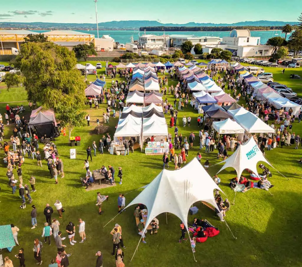 Aerial pic of Little Big Market