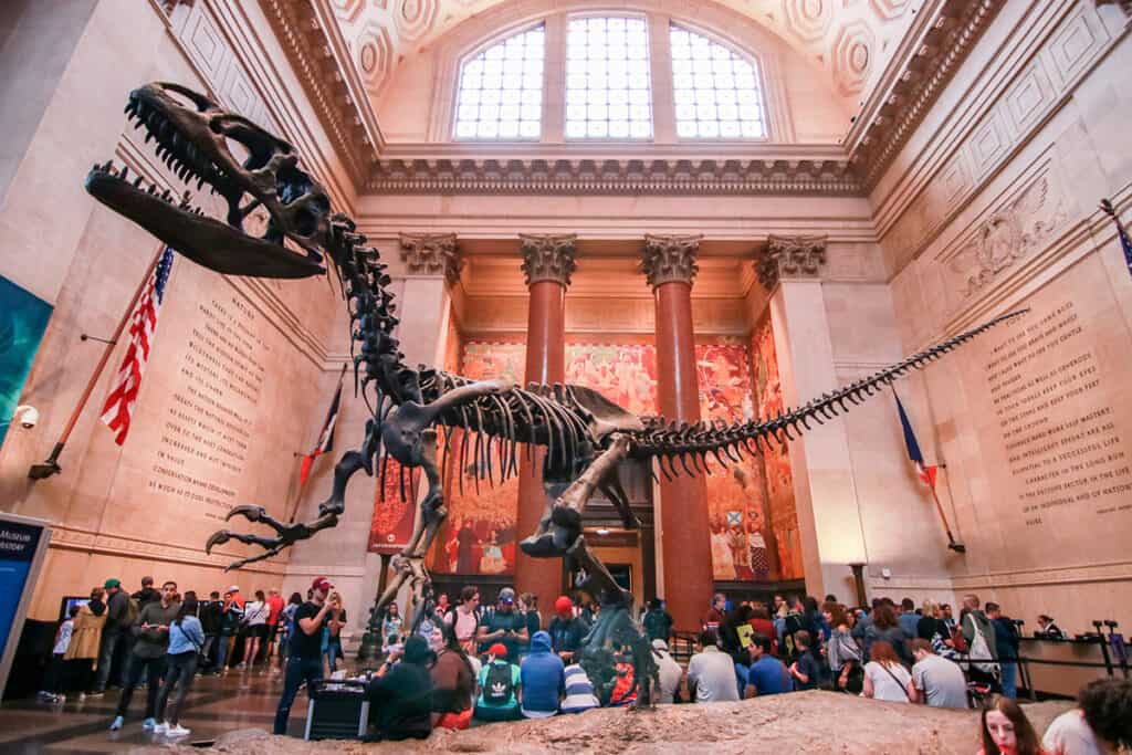 Le dinosaure du Musée américain d'histoire naturelle
