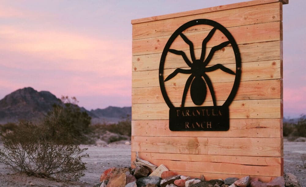 Tarantula Ranch logo