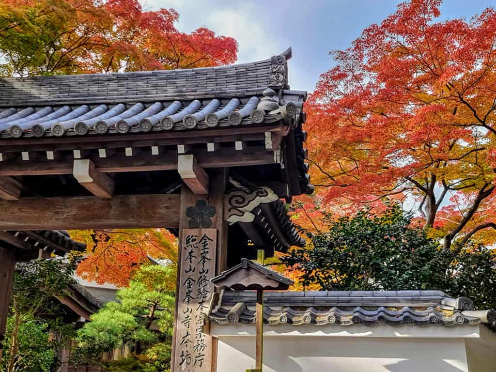 Autumn in Japan