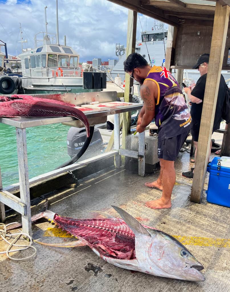 Fileting tuna at wharf in Rarotonga