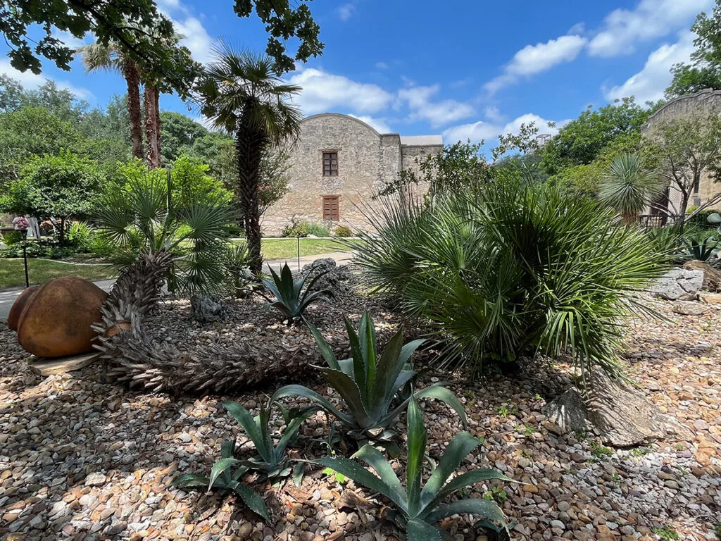Alamo gardens