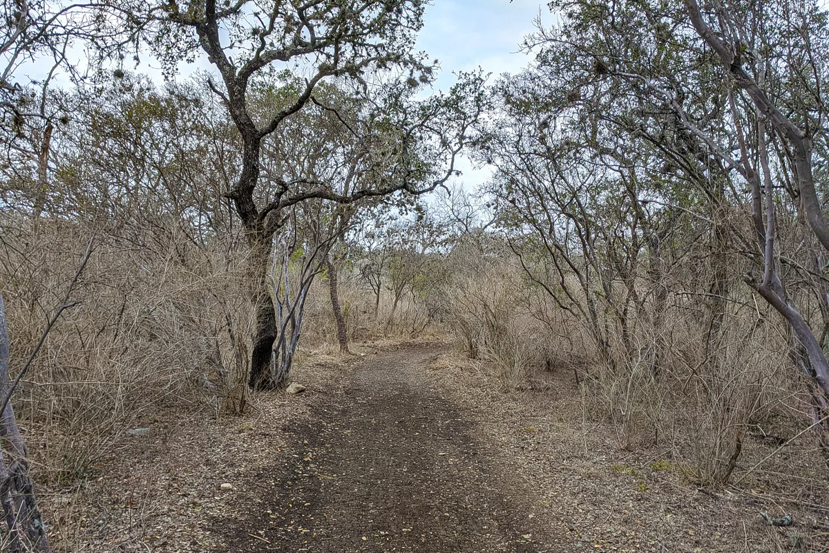 Phil Hardberger Park