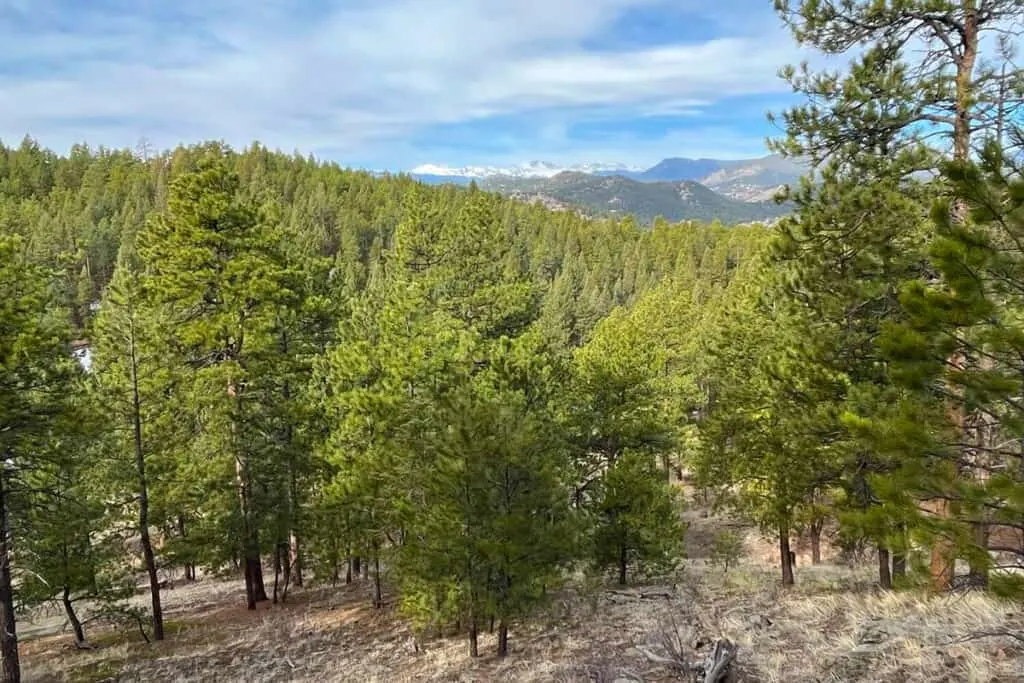 Bear Creek Trail