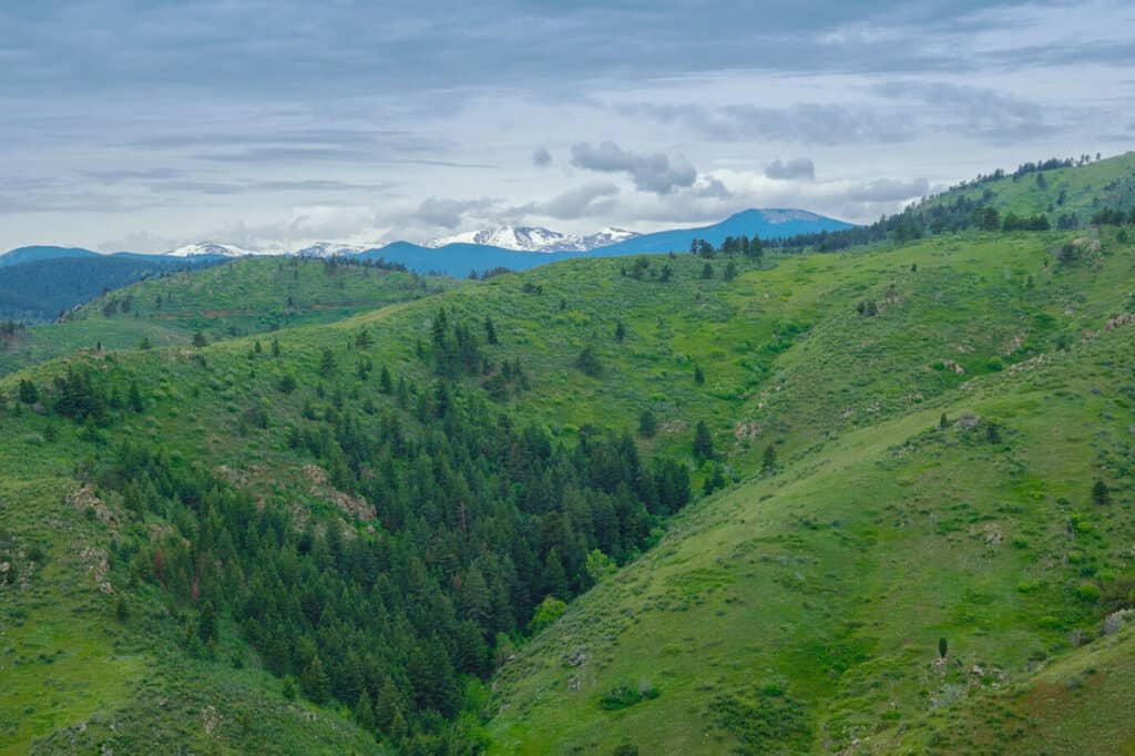 Mount Galbraith views