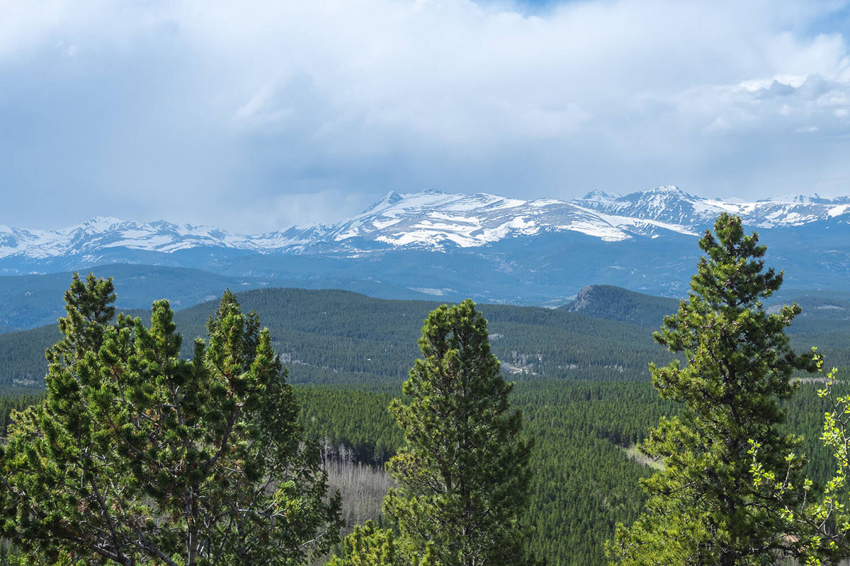 Mule Deer Trail