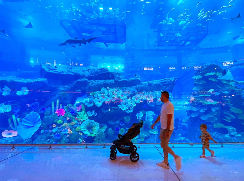 Aquarium at Mall of Dubai