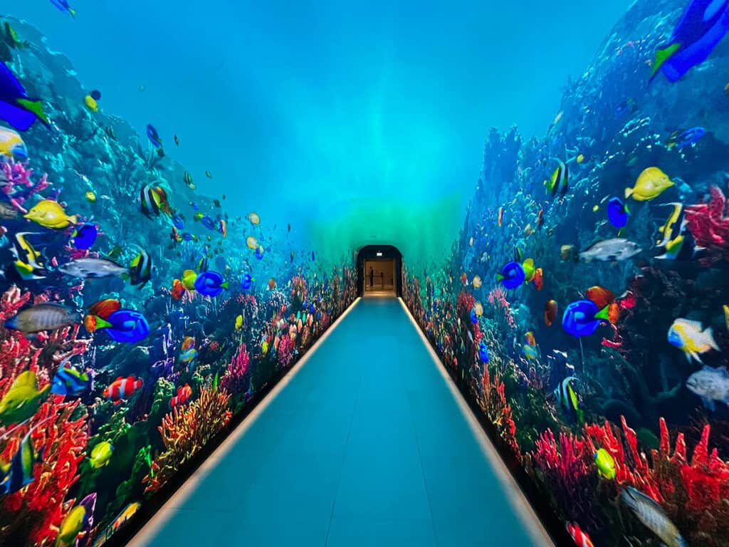 Walkway through to the viewing deck with digital underwater world