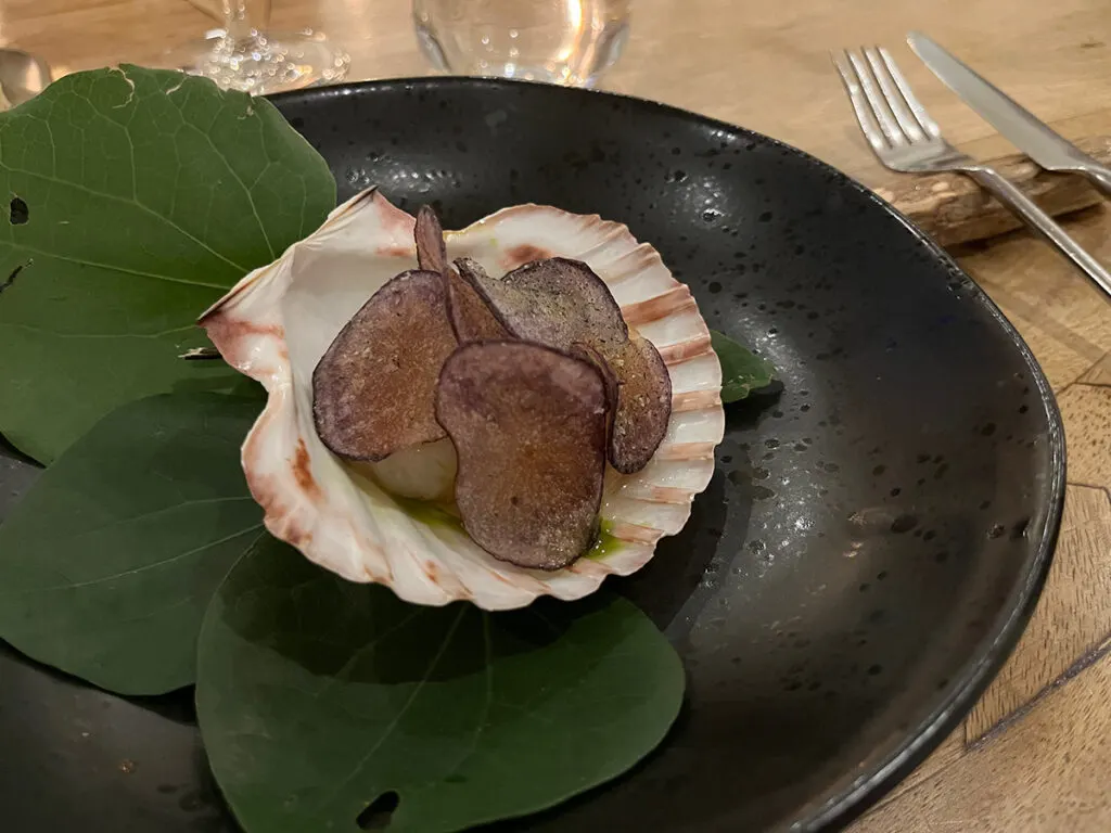 scallop entree served in shell
