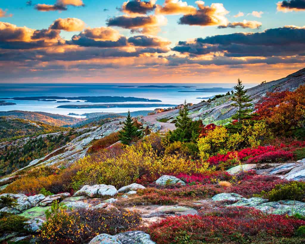 Cadillac Mountain in the fall, Acadia National Park