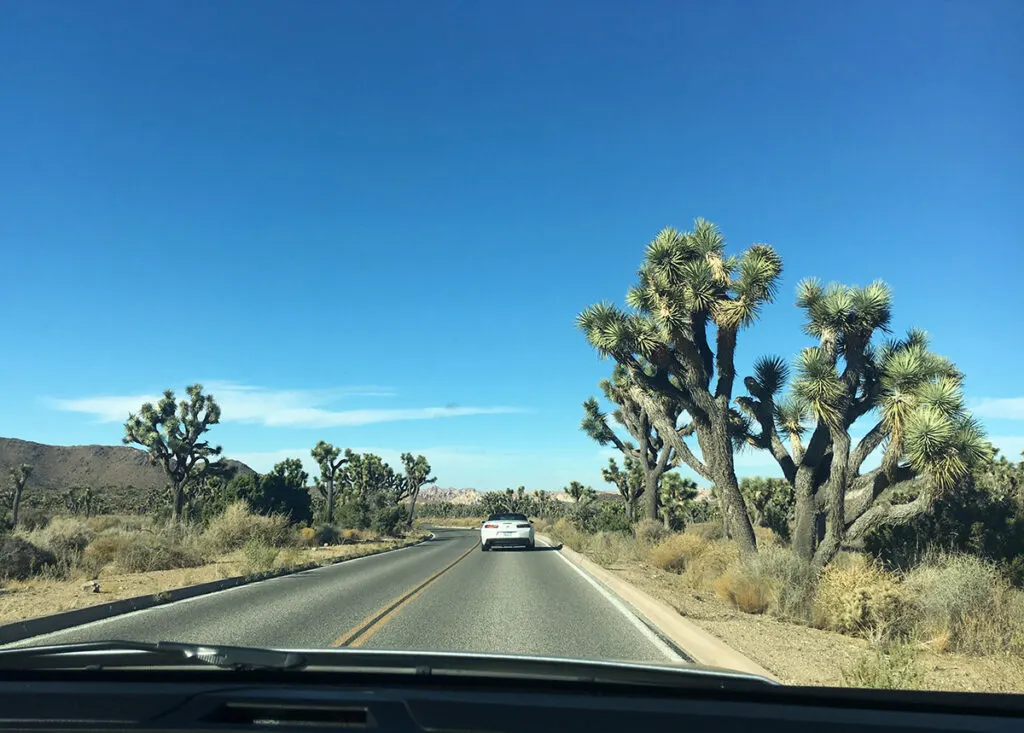 Driving through Joshua Tree National Park