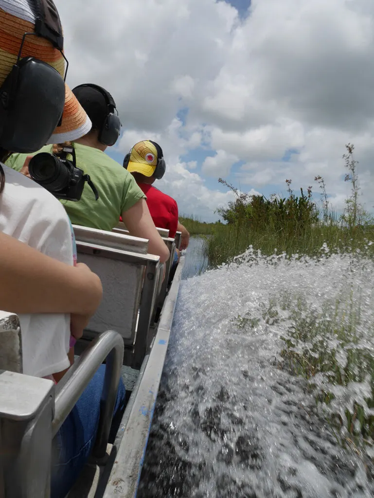 Screaming through the Everglades in an airboat