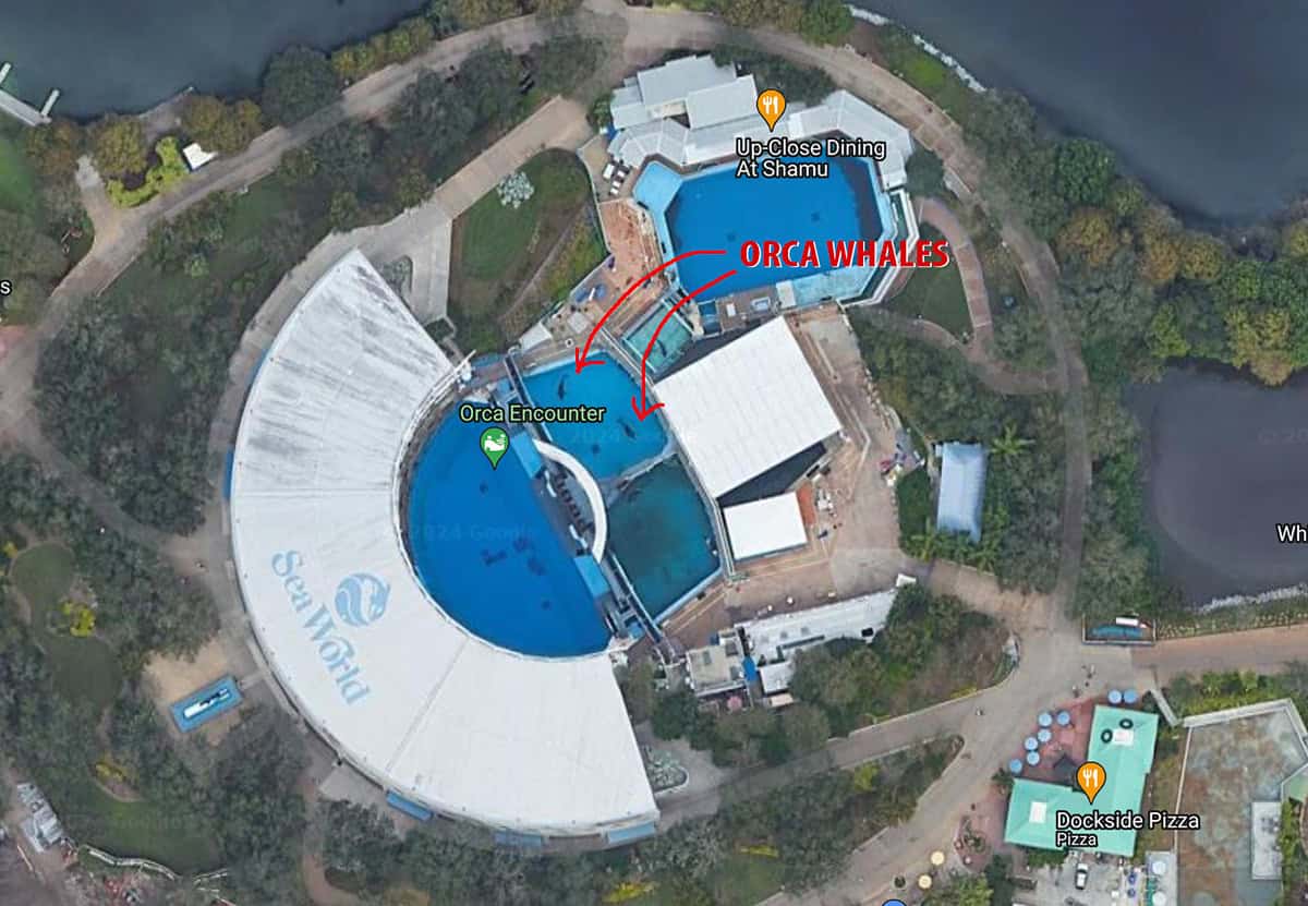 SeaWorld’s Orca prison: Google-Earth shows what conditions are