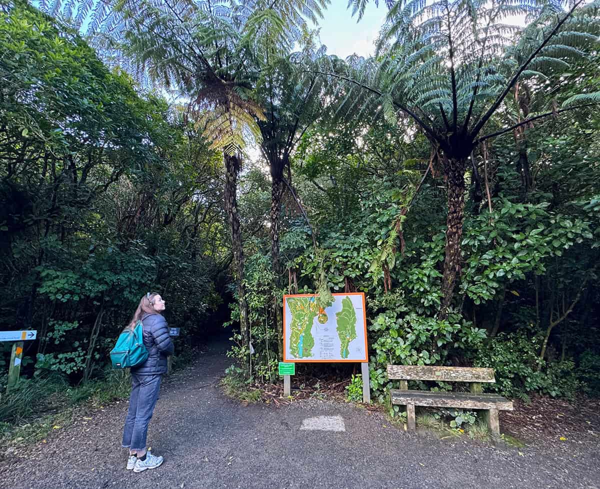 What to expect at Zealandia, Wellington