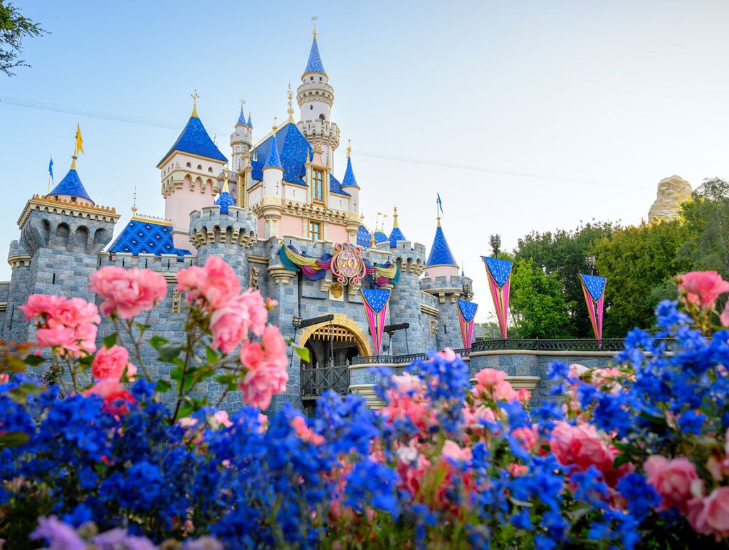 Disney Castle