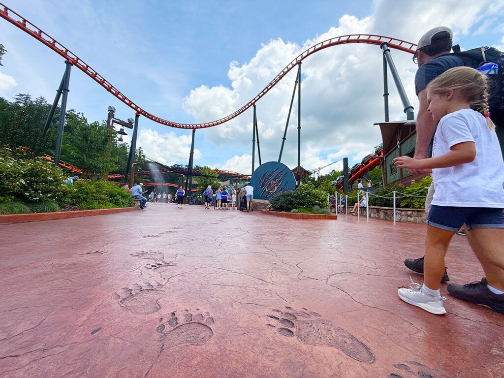 Bear prints on the ground at Dollywood