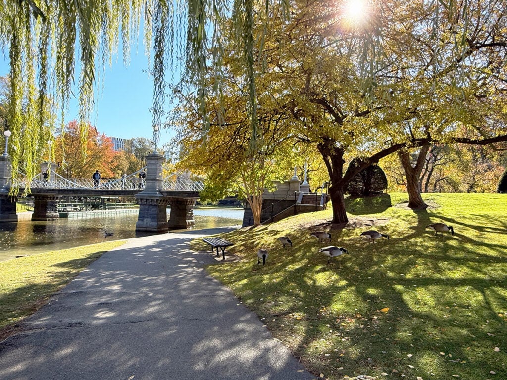 Walking through Boston Common