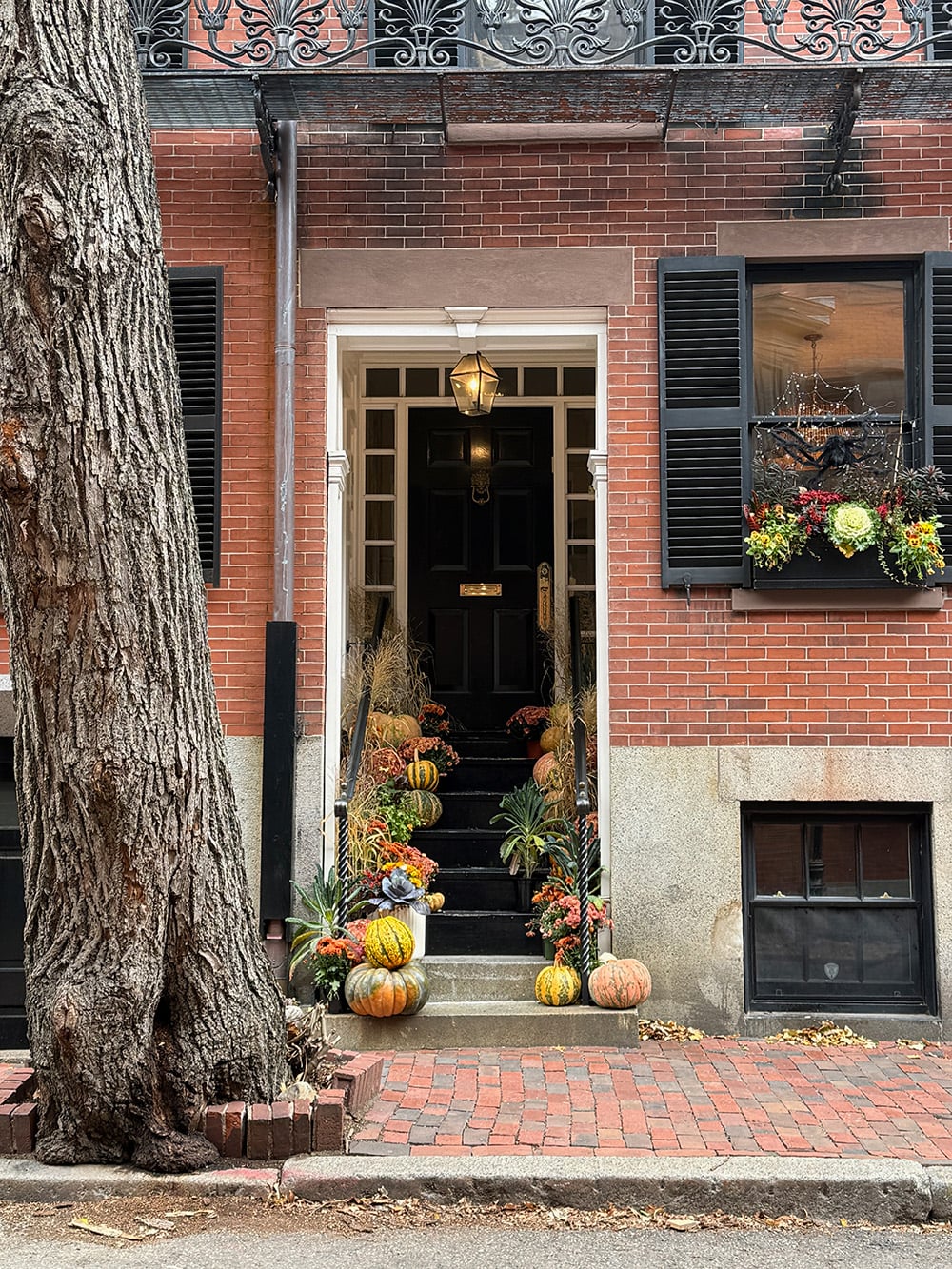 Pumpkin displays on doorsteps in Beacon Hill