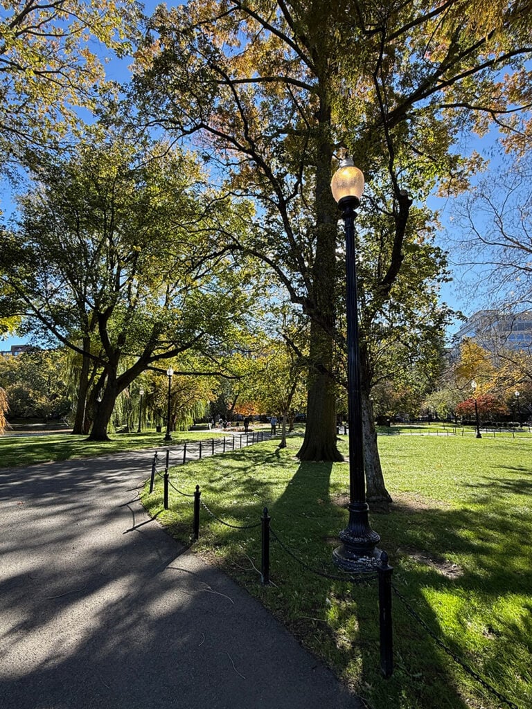 Boston Public Garden path and lamp post in the Fall