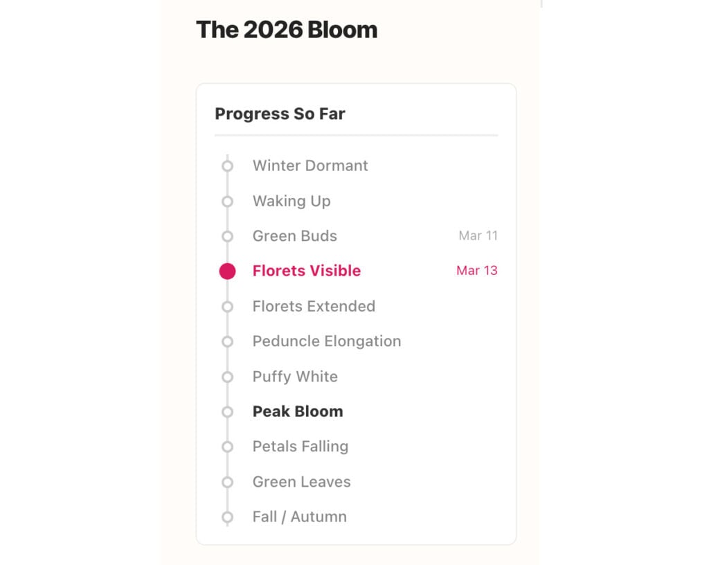Washington DC Bloom calendar