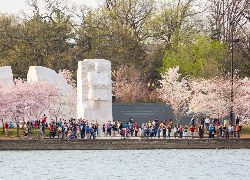 Crowds at MLK Memorial surrounded in cherry blossoms