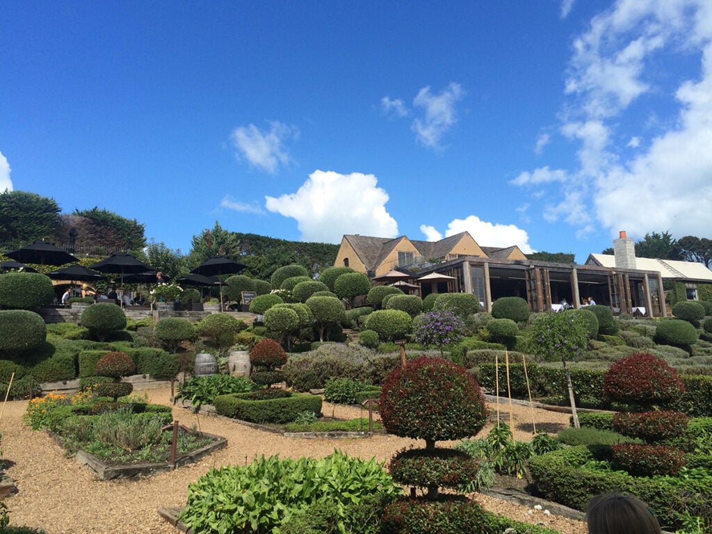 Formal gardens at Mudbrick Winery Waiheke Island