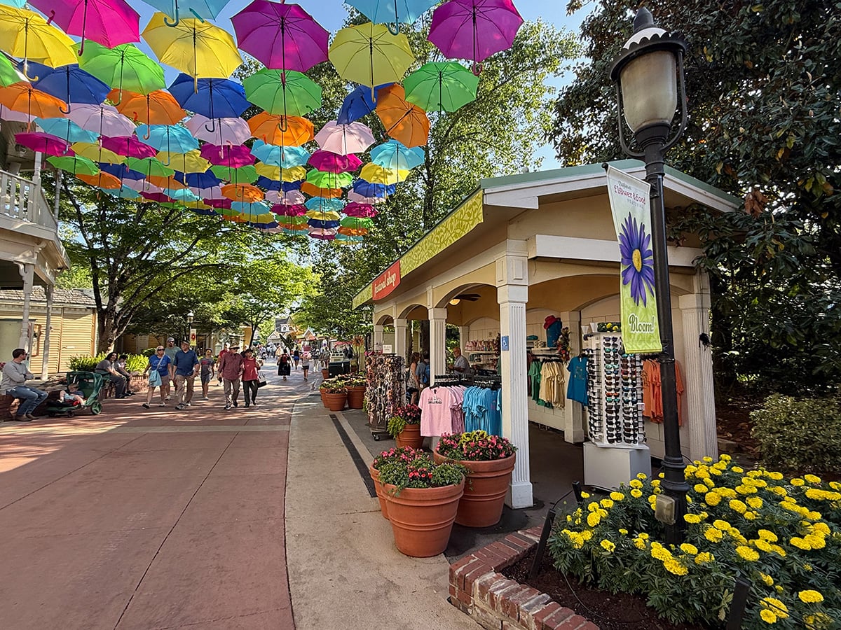 Shopping in Dollywood
