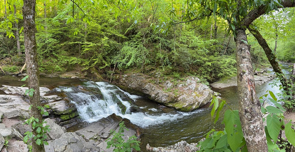 A little roadside waterfall and stream in the Smoky Mountains
