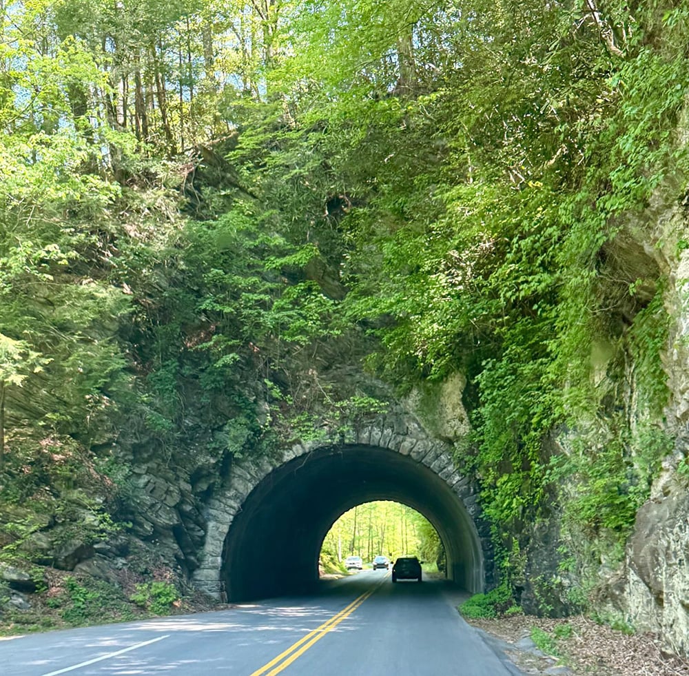 We took a day trip through the Smoky Mountains